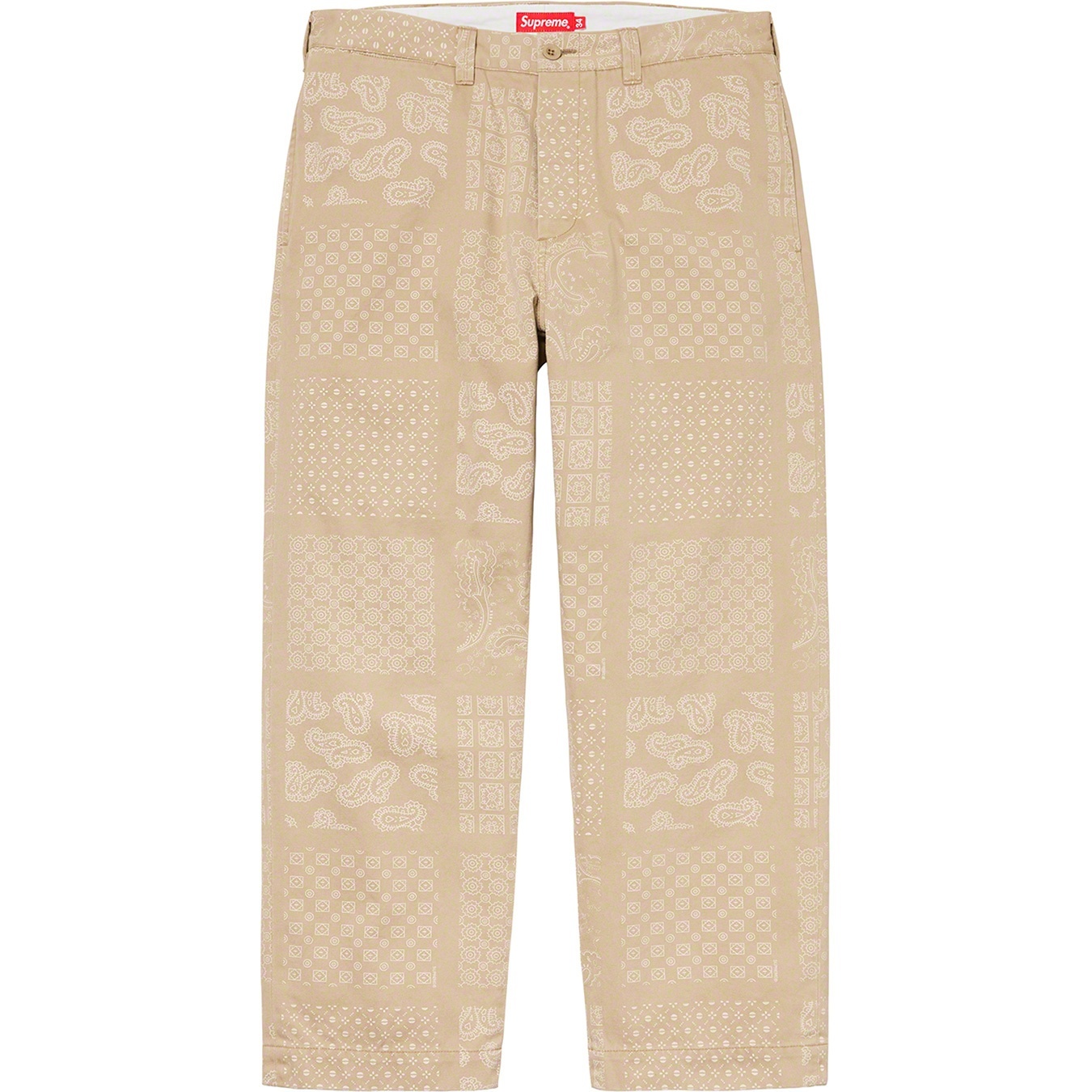 Paisley Grid Chino Pant view 4